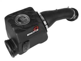 Momentum GT Pro DRY S Air Intake System 50-70022D